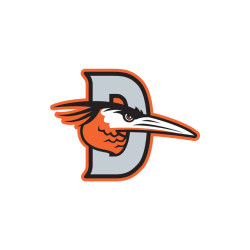 Delmarva Shorebirds