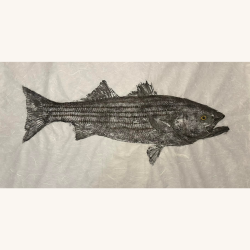 Eastern Shore Gyotaku