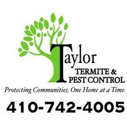 Taylor Termite