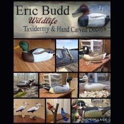 Eric Budd Decoys